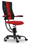 Spinalis Chairs for 0
